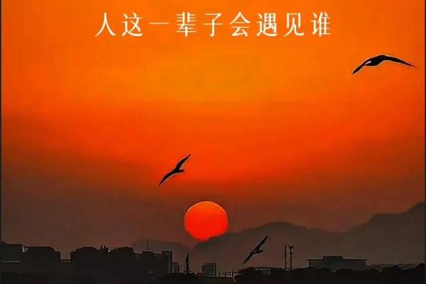 双手对称，命中注定：探索人与命运的关系