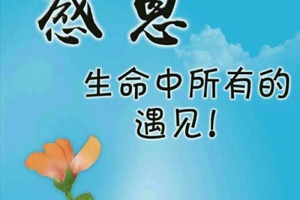 双手对称，命中注定：探索人与命运的关系