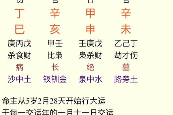 探秘女命三伤官:如何解读和运用命理智慧 探秘女命三伤官:如何解读和运用命理智慧