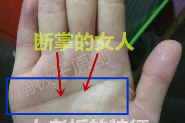 叉川金命与和谐财运的完美结合之道