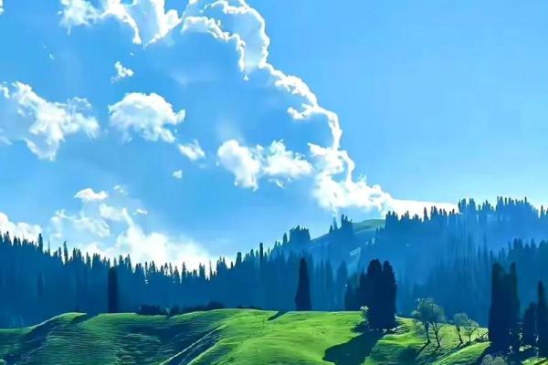 木命与金命家庭风水:选择合适的挂画艺术之道 木命与金命家庭风水:选择合适的挂画艺术之道