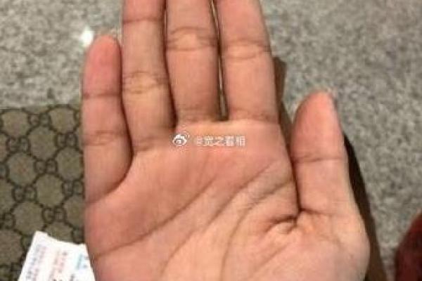 命长与命短的奥秘:从生命线看个体的命运与潜力 命长与命短的奥秘:从生命线看个体的命运与潜力