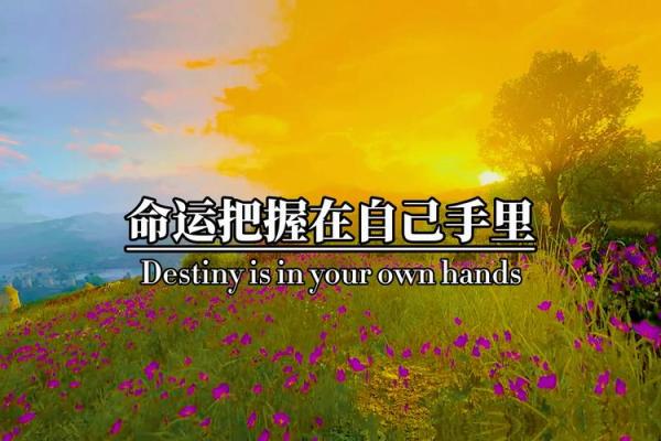 1954年马属的命运与性格解析,揭示深藏的命运之钥 1954年马属的命运与性格解析,揭示深藏的命运之钥