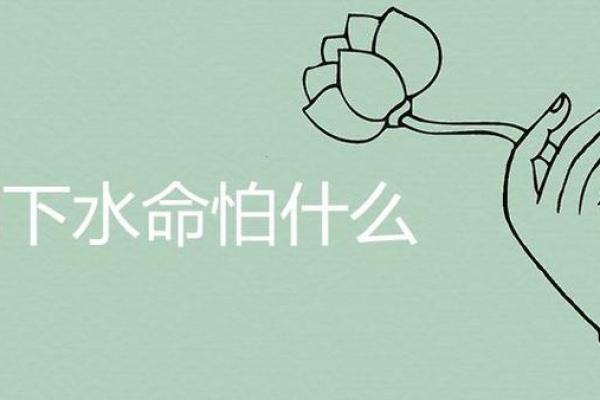 涧下水命女命适合的行业解析与人生方向指导