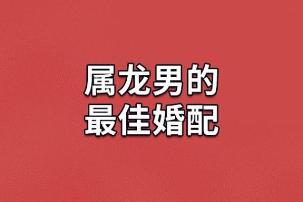 2012年正月出生的命运解析:揭示属龙人的潜力与挑战 2012年正月出生的命运解析:揭示属龙人的潜力与挑战