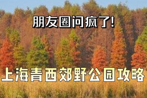 探索“什么西什么命”的成语世界:趣谈命运与西方文化的交融之美 探索“什么西什么命”的成语世界:趣谈命运与西方文化的交融之美