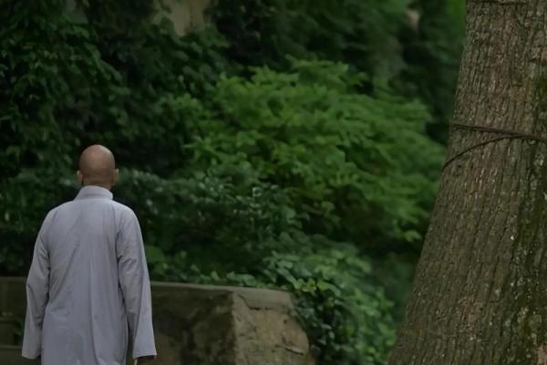 1969年属猪的命运解析:揭示人生的机遇与挑战 1969年属猪的命运解析:揭示人生的机遇与挑战