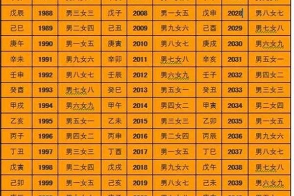 木命妇金命夫适合的颜色解析与搭配建议