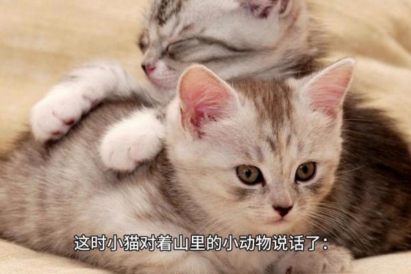 彼此相伴：动物间的忠诚与情谊故事