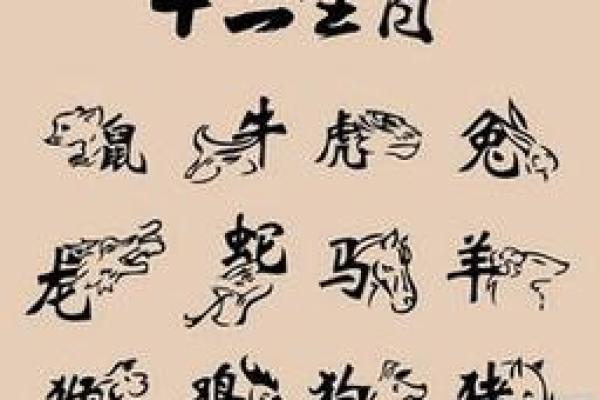 探寻城墙土命的虎与五行命理的完美结合