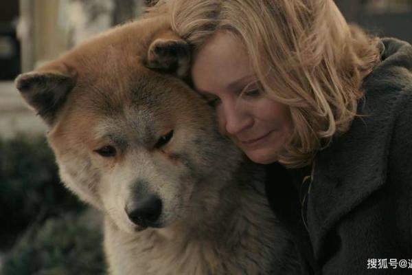 彼此相伴：动物间的忠诚与情谊故事