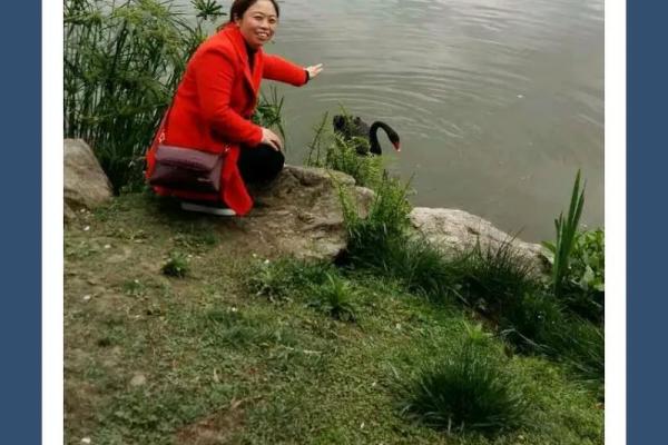 “命运的交叠：一首歌的故事和人生的哲理