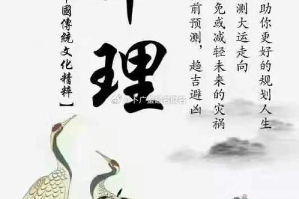 命理占卜：解析你命格的奥秘与启示