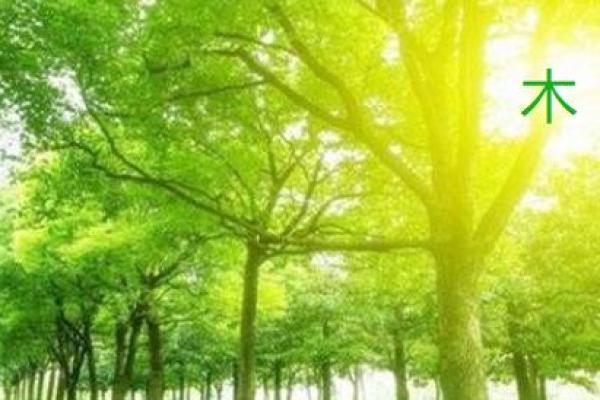 命格不全的人：如何在缺失中找到自己的精彩人生