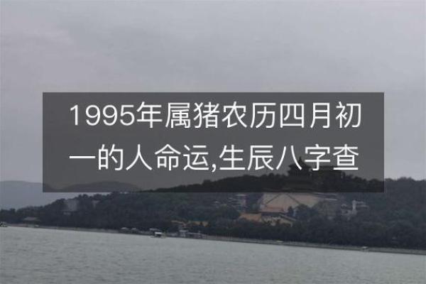 二零一九属猪之人的命运与性格解析