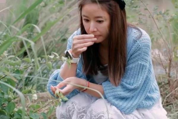 20051214这一命,带你探索命理的奥秘与生活的智慧 20051214这一命,带你探索命理的奥秘与生活的智慧