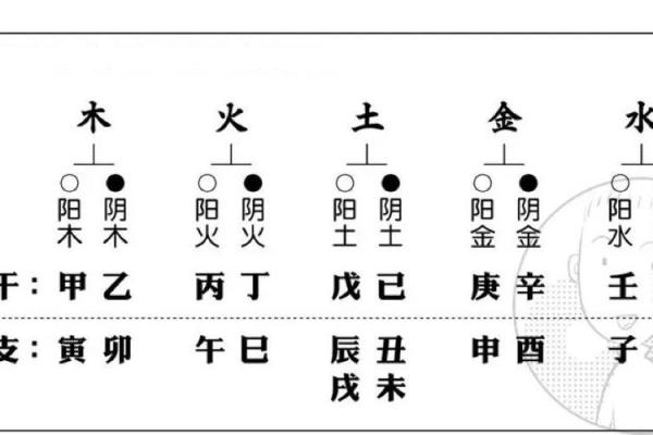甲木命女与命中注定男的完美结合 甲木命女与命中注定男的完美结合