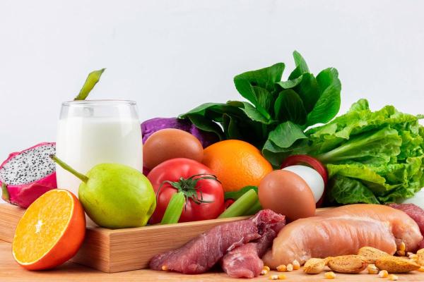 探索长寿动物的秘密:谁才是生命的赢家? 探索长寿动物的秘密:谁才是生命的赢家?