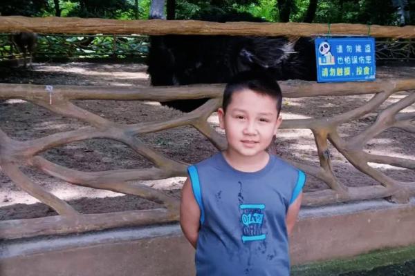 豆腐渣是我的命，追寻生命的真谛与希望