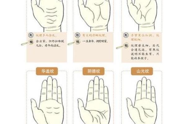 根据出生日期解析命运：你的生命密码在何处？