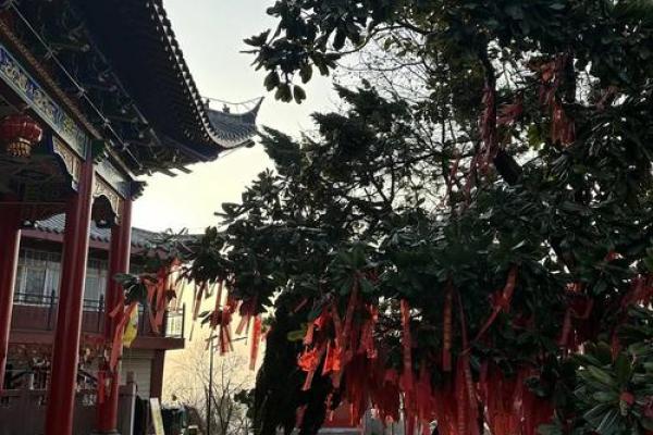 发卷带来的命运启示:你遇见的每一个卷发都有其独特的故事 发卷带来的命运启示:你遇见的每一个卷发都有其独特的故事