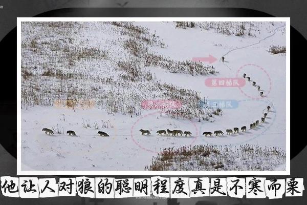 20034命理解析:揭示命运的奥秘与生活的智慧 20034命理解析:揭示命运的奥秘与生活的智慧