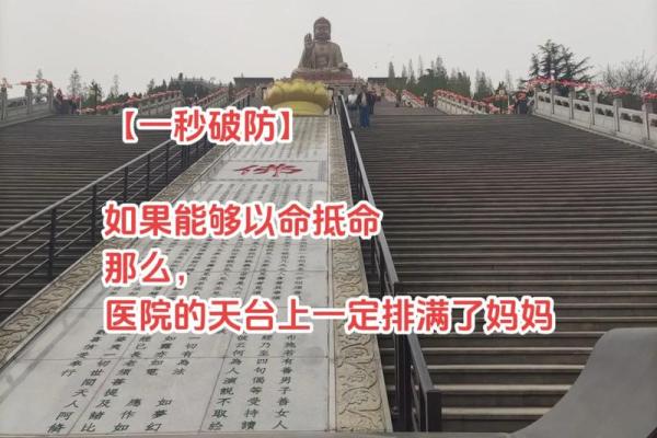 探秘命理:零命与一命满命的深刻内涵与生活影响 探秘命理:零命与一命满命的深刻内涵与生活影响