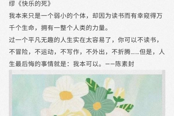 五两五钱的命：命运中的平衡与智慧