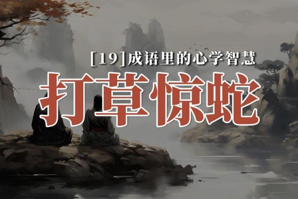 命运与努力的较量：成语背后的智慧