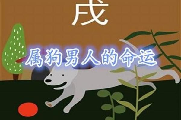 2007年属狗人的命运与性格解析