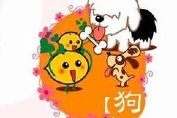29岁属狗女子命运解析：聪明勇敢，魅力四射
