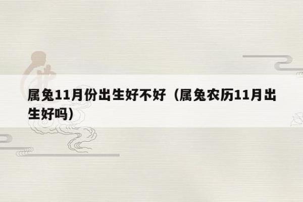 2017年兔年：解读兔年的命理特征与人生指引
