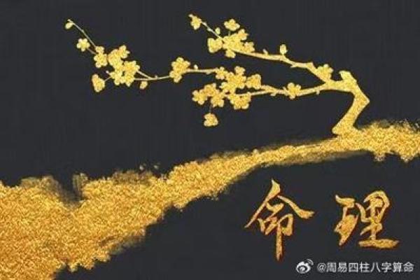 命理解析：文昌星入命的深刻意义与影响