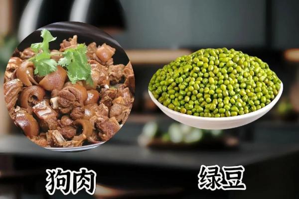 浅析木鸡之命的命格特征与生活启示