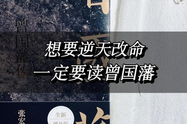 浅析木鸡之命的命格特征与生活启示