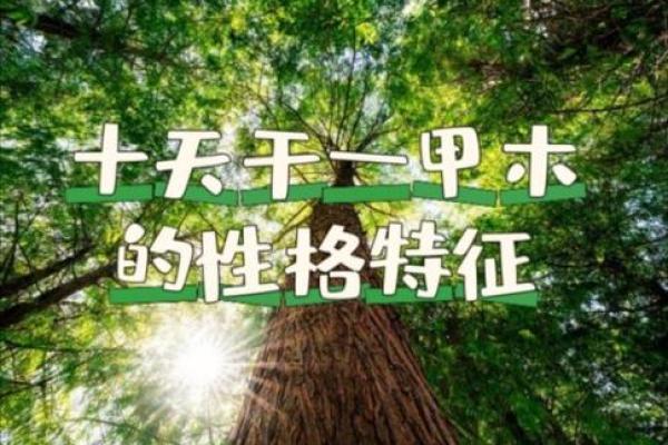解读三元命巽命人的性格特征与生活智慧