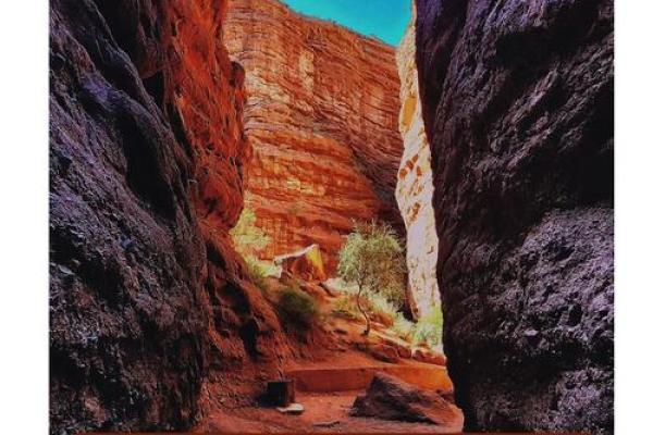 探寻木命之子：与生相连的命运之路