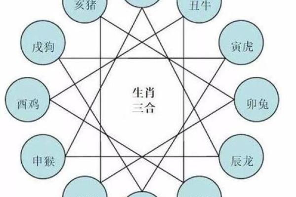 69年出生者的生肖与命运揭秘:你属什么,运势如何? 69年出生者的生肖与命运揭秘:你属什么,运势如何?