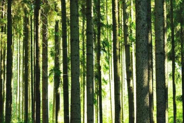 19980302:探索你的命格与生活的秘密 19980302:探索你的命格与生活的秘密