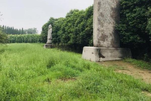 探寻木命之子：与生相连的命运之路