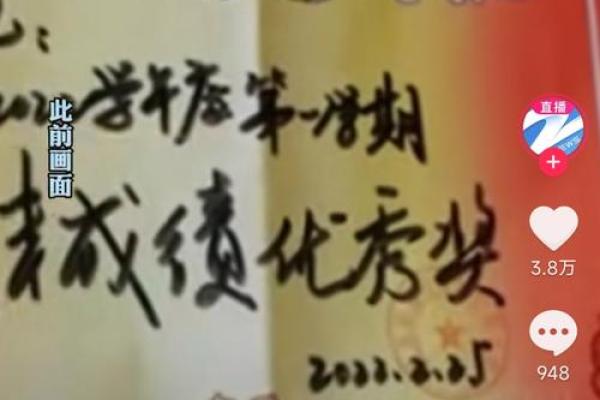 父命之命：探讨传统文化中的亲情与责任