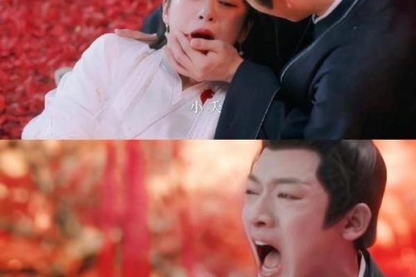 19970214：命运的星辰与爱情的启示