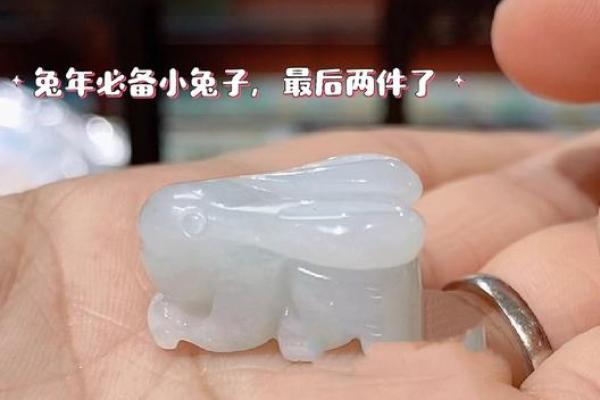 2023年属兔之人:兔年命运如何,生活新机遇探讨! 2023年属兔之人:兔年命运如何,生活新机遇探讨!