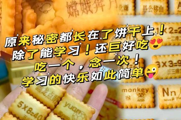 自提什么命：成语接龙的趣味之旅