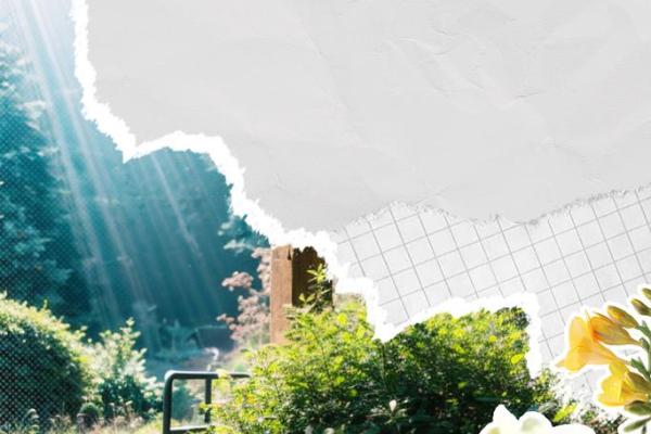 1972年出生的人命运解析:智慧与成长的心灵之旅 1972年出生的人命运解析:智慧与成长的心灵之旅