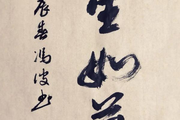 命运与事业:从成语“造命”看人生的转变历程 命运与事业:从成语“造命”看人生的转变历程