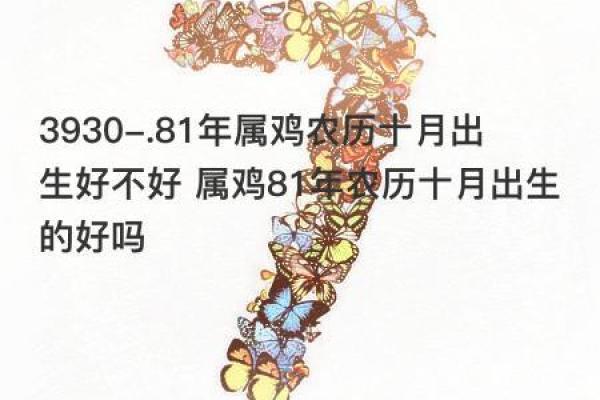 生肖鸡的命运揭秘：你属于哪种命？