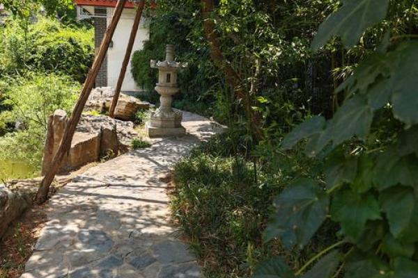 三两命的魅力与挑战,揭示命运的独特密码 三两命的魅力与挑战,揭示命运的独特密码