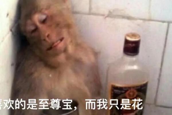 比华盖命还惨的是什么命?看看这些生活中的不幸瞬间! 比华盖命还惨的是什么命?看看这些生活中的不幸瞬间!