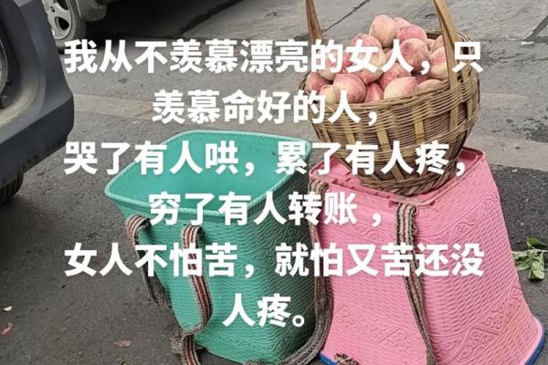 人与命:不屈服于命运的坚持与勇气 人与命:不屈服于命运的坚持与勇气